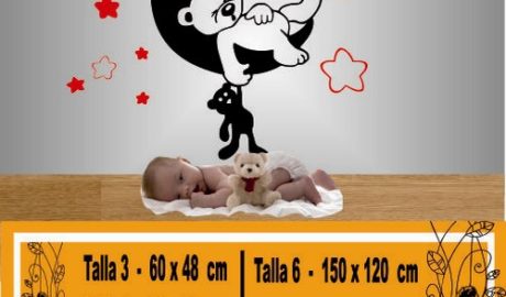 oso en la luna 1002