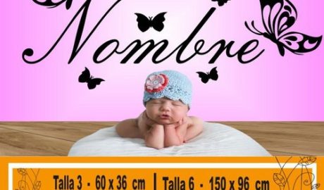 vinilos bebe nena 1155