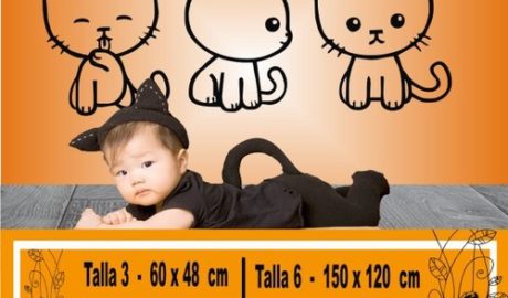 baby boy 1184