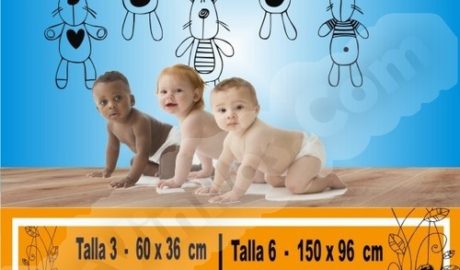 bebe osos 1018