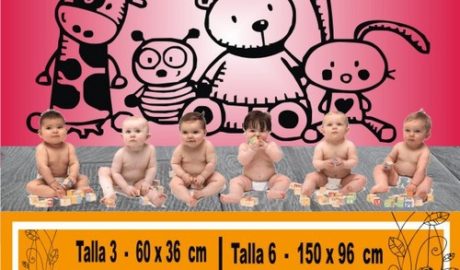 baby bears 1093