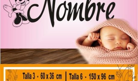 vinilo decorativo disney con nombre 1023
