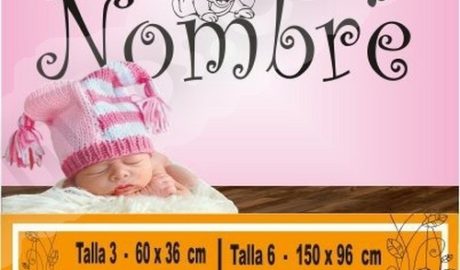vinilo decorativo disney con nombre 1204